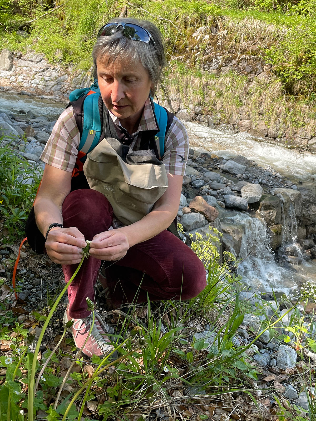 Dorfverein Schwändi Naturspaziergänge 2021