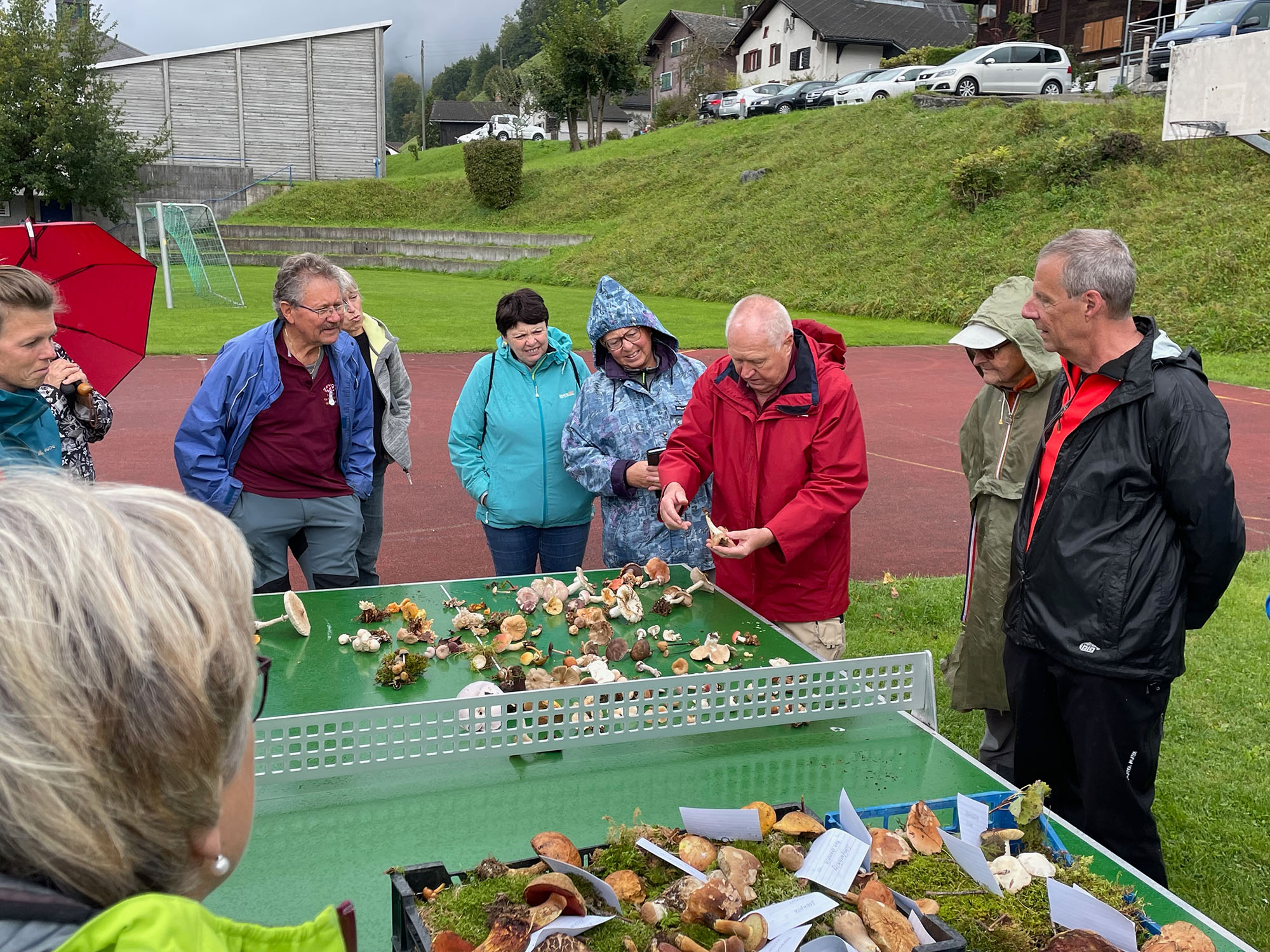 Dorfverein Schwändi Pilzexkursion 2022